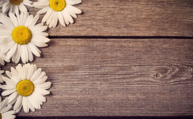 Obraz premium Fresh chamomile flowers on the wooden table
