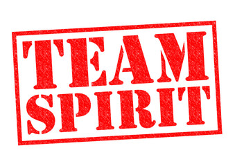 TEAM SPIRIT