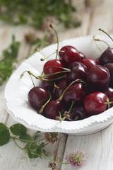 Sour cherry