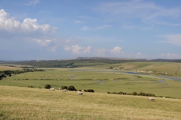 Obraz premium campagne anglaise