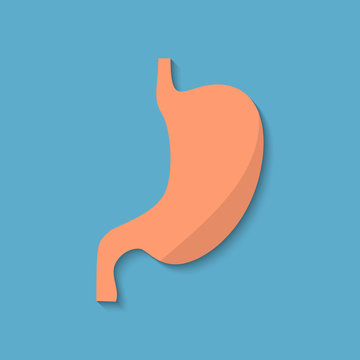 Vector flat belly icon.