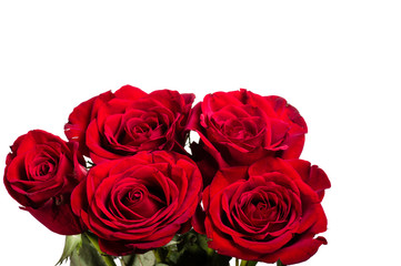 Bright red roses isolated on white