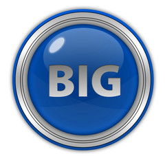 Big circular icon on white background