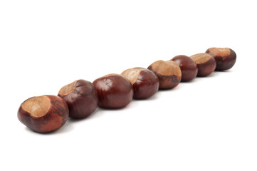 Lined up chestnuts
