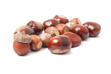 Obraz premium Acorns and chestnuts