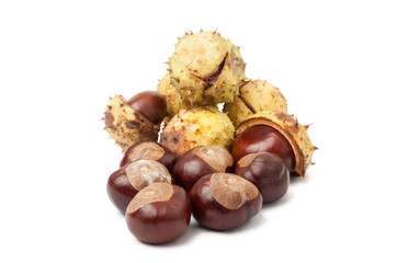 Horse chestnuts isolated on white