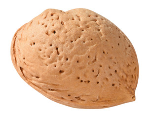 Mandel