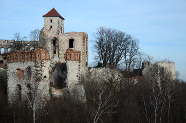 Castle ruins (Tenczyn in Poland)