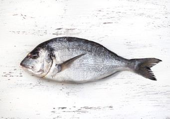 Fresh dorado fish