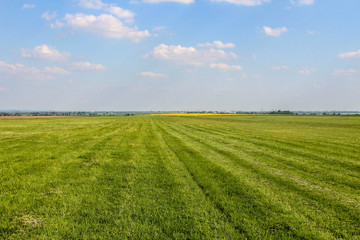 Field on countryside