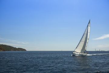 Fototapeta na wymiar Regatta on the sea. Yachting. Sailing. Travel Concept. Vacation.