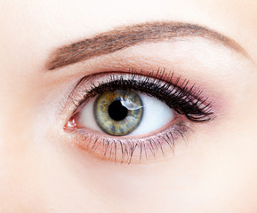 Obraz premium Close-up shot of female eye