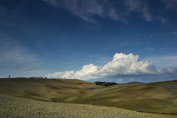 Tuscan fields