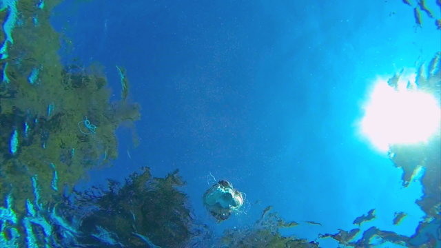 underwater view of man diving into pool