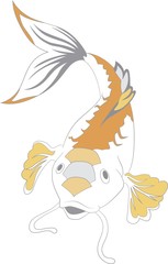 Carp swiming