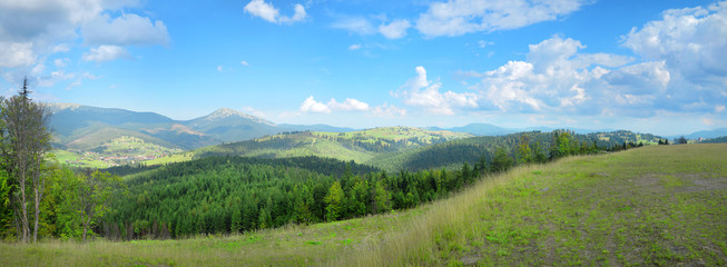 Fototapeta premium Mountain panorama quiet plateau in Ukrainian Carpathians