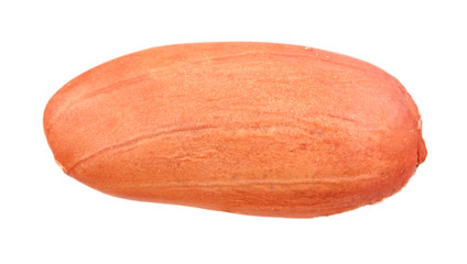 Peanuts on white background