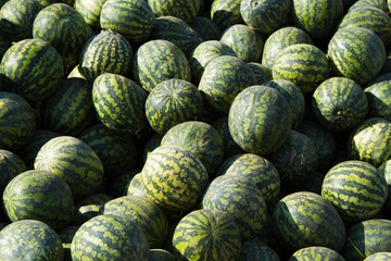 Watermelons