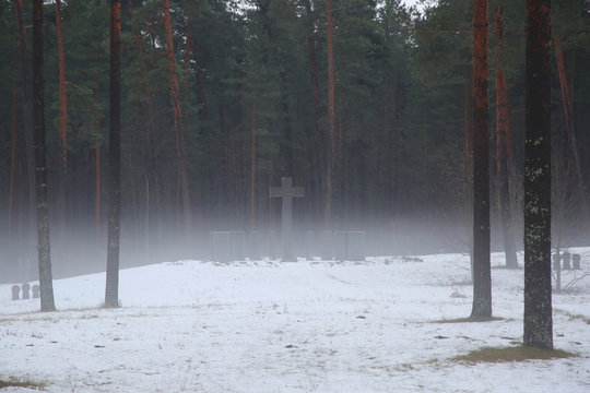 The mystic fog on cemetery