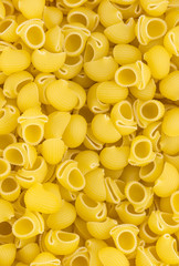 background of raw pasta from durum wheat