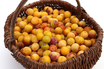 Prunes