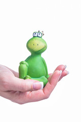 Partnersuche froschkönig Froschkönig in Kassel auf
