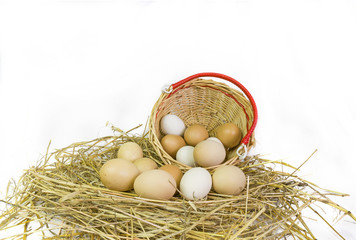 hen 's eggs, nest, basket