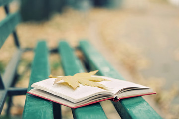 Open book with leaf on it lying on the bench in autumn park