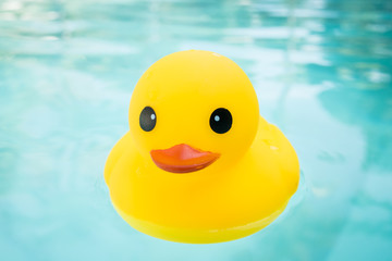 rubber ducky