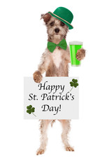 St Patricks Day Dog With Beer