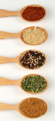 Different spices and herbs in wooden spoons isolated on white