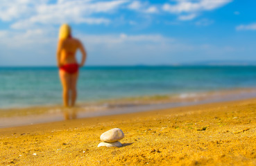 Shore of sea in summer time