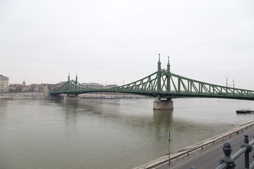 Fototapeta na wymiar Liberty Bridge of Budapest