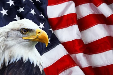 Foto op Plexiglas Noord-Amerikaanse Bald Eagle op Amerikaanse vlag © Camera Nation