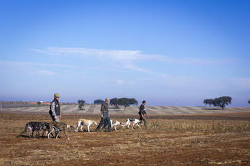 Cazadores con sus perros cazando
