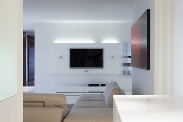 Designed living room with tv