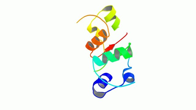 Insuline molecule 3d structure.