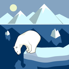Obraz premium Polar bear on an ice floe, polar landscape.