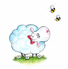 Cute sheep