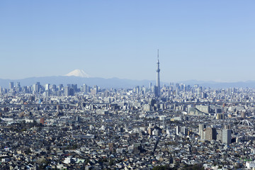 富士山と東京スカイツリーと東京都心全景 2015年1月