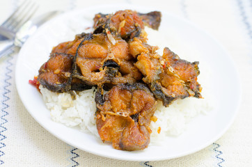 Spicy Stir Fried catfish on dish
