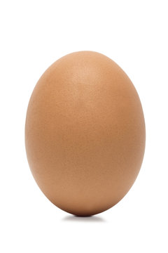 Brown egg on white background