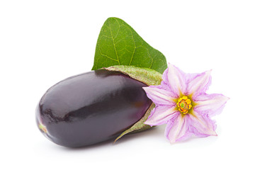 Eggplant vegetable
