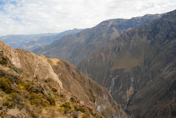 Naklejka premium Colca Canyon, Peru