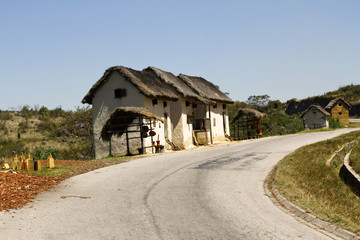 Fototapeta na wymiar Typical malgasy village - african hut, poverty in madagascar