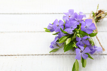 Spring bouquet of periwinkle on white boards