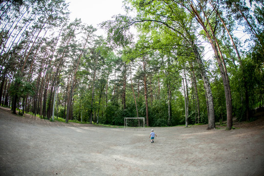 Fototapeta Road in magic dark forest