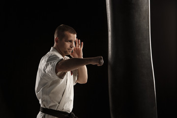 Karate kick in a punching bag