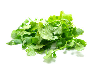 coriander isolated on white background