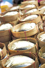 Mackerel fish in the market